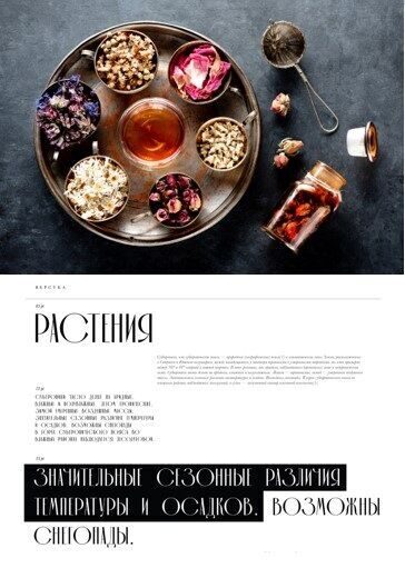 Изображение №8